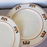 4 flat plates in iron earth of the Salins model Mimosa 210738