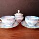 Vintage theresia pattern porcelain coffee cup and sugar bowl set, seltmann