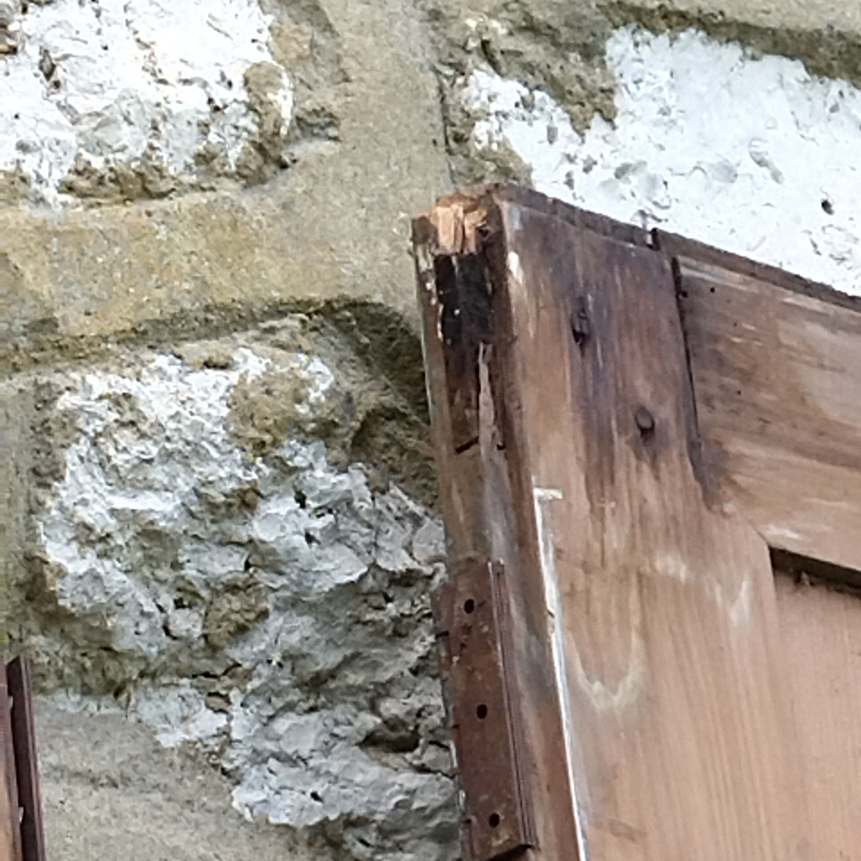 Pair of antique fir closet doors