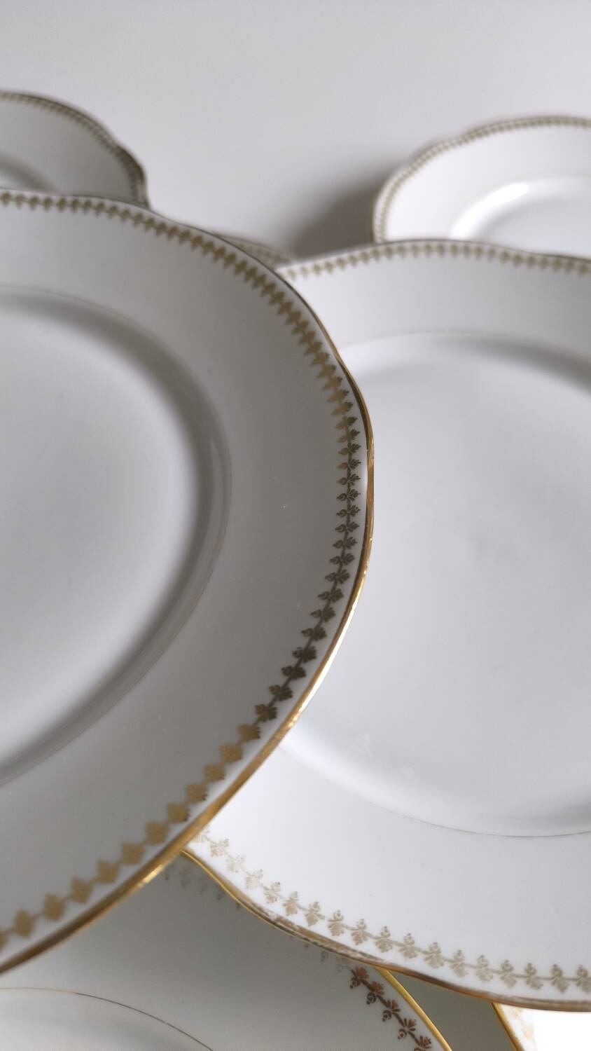 Set of 10 porcelain flat plates