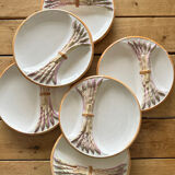 Asparagus plates barbotine