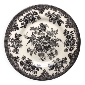 Royal Stafford Dessert Plate / Asiatic Pheasant Salad
