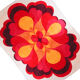 Red and orange roset carpet 300cm x 400cm