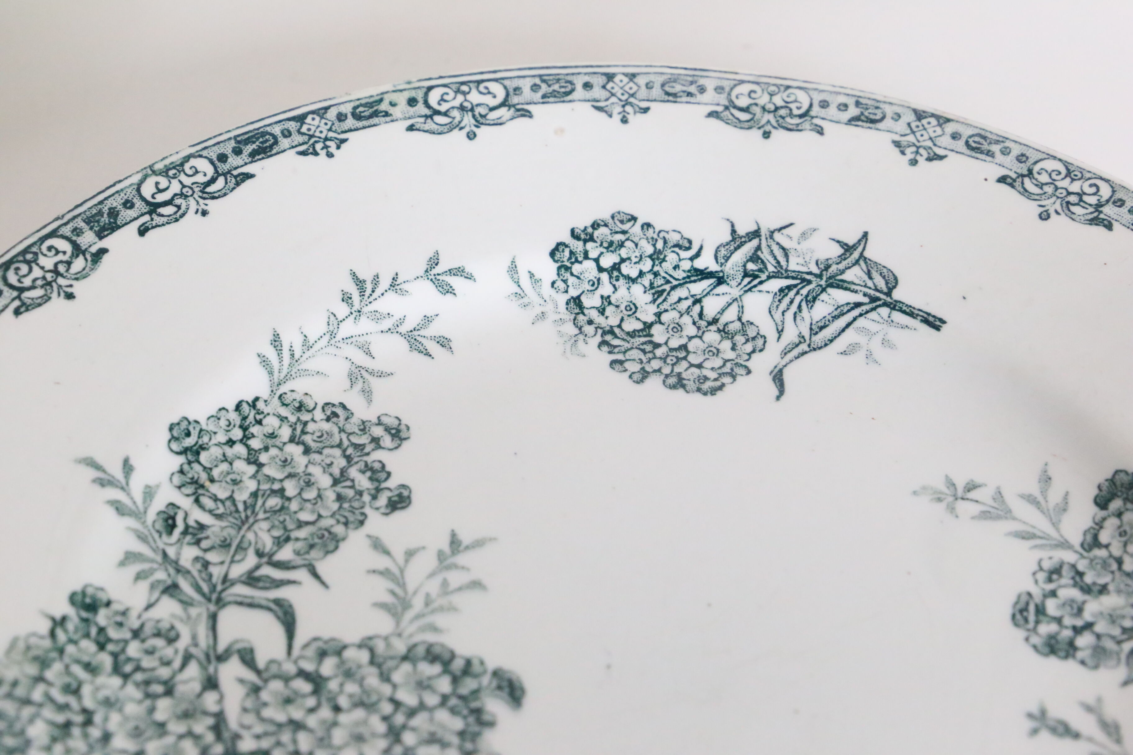 Set of 4 flat plates Terre de Fer, Saint Amand, Daisy