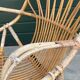 Rattan chair by Dirk van Sliedregt Rohe Noordwolde 1960 in the Netherlands