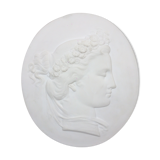 Plaster medallion