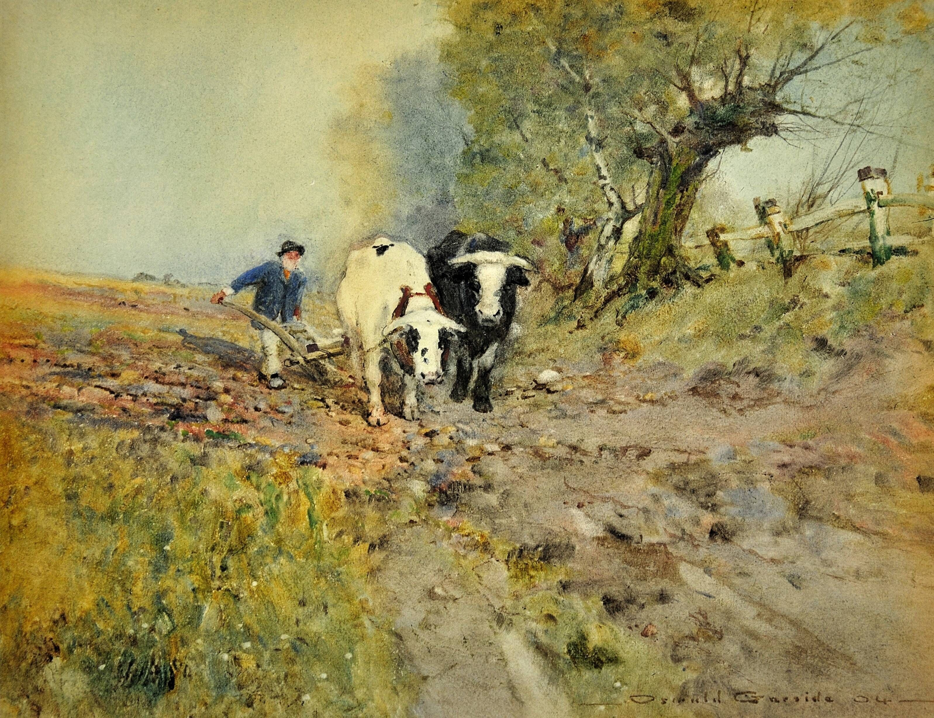 Oswald Garside 1879 - 1942. Bullocks Ploughing, 1904. Watercolour. Framed.