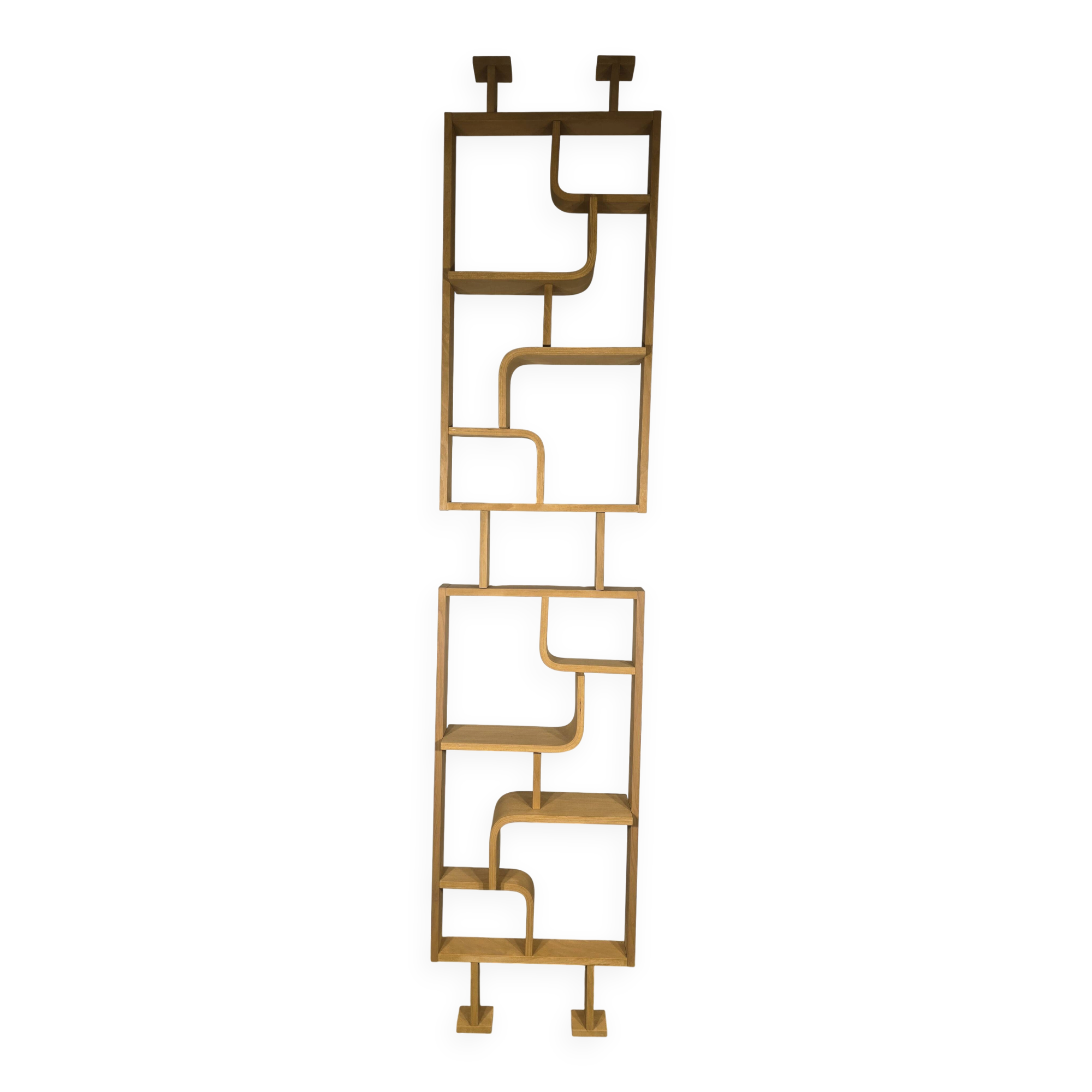 Room Divider by Ludvik Volak for Drevopodnik Holesov, 1950s