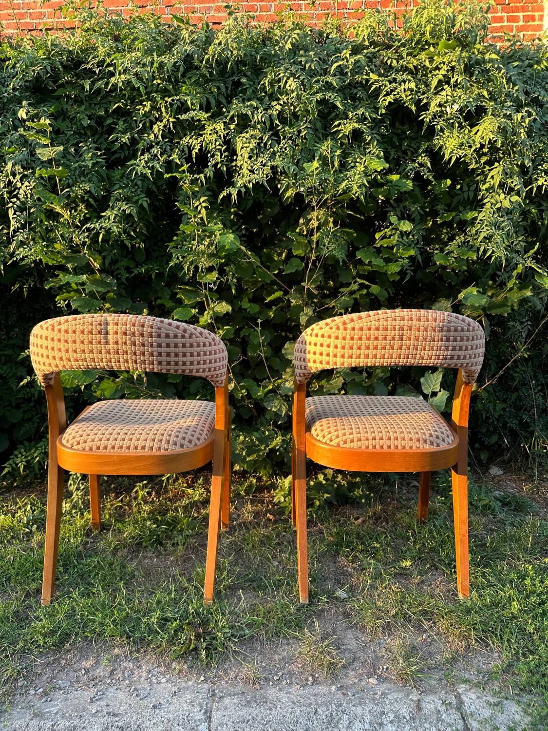Pair of vintage designer chairs from the 50s/60s, Baumann style