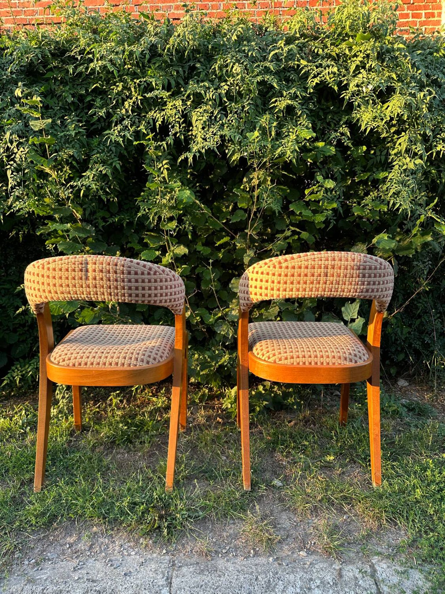 Paire de chaises vintage design années 50/60 style Baumann