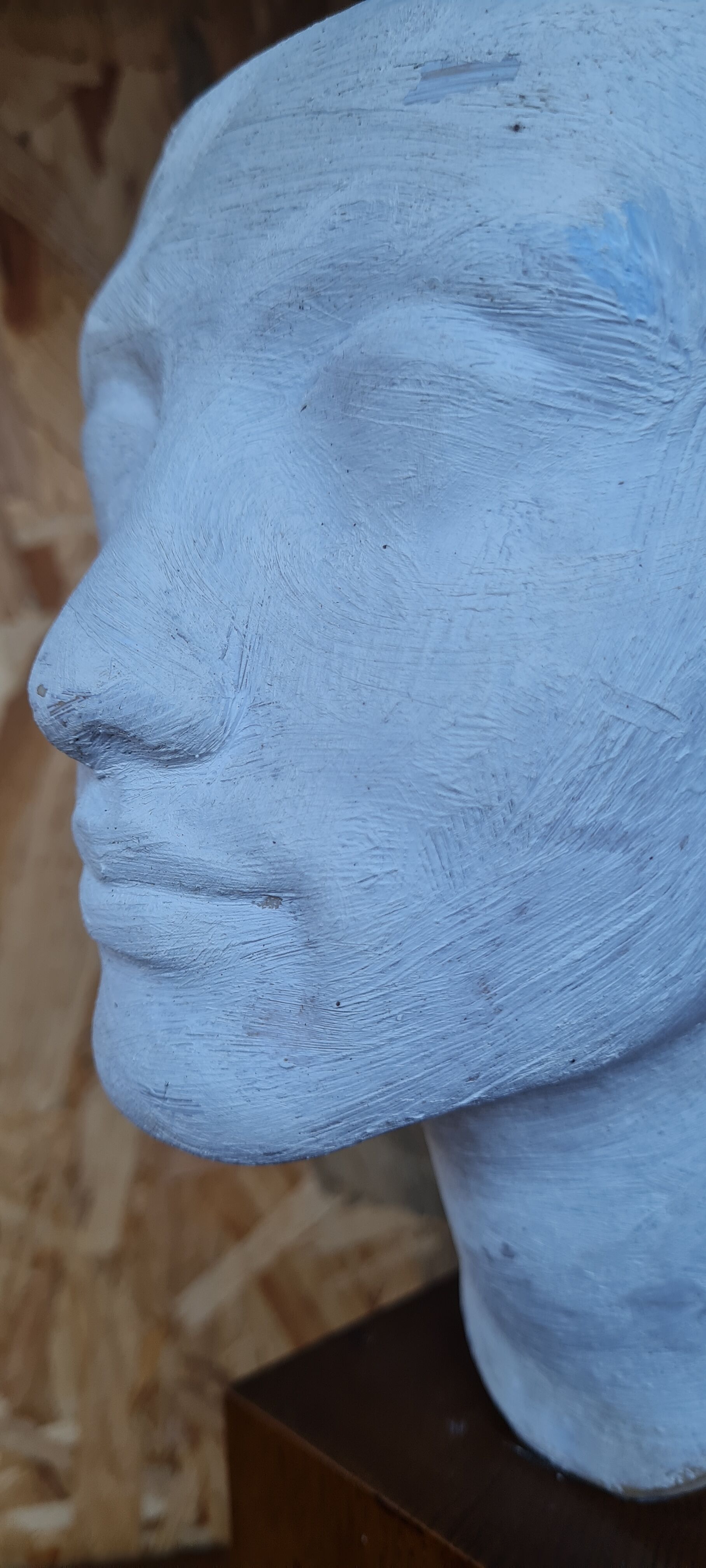 Bust of Nefertiti Louvre Museum Paris