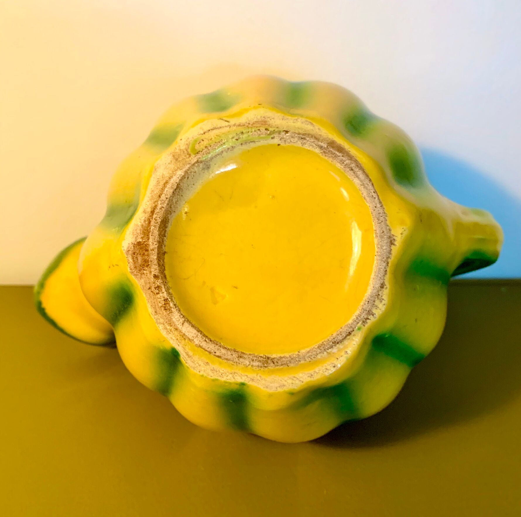 Pitcher shaped melon in dabbling