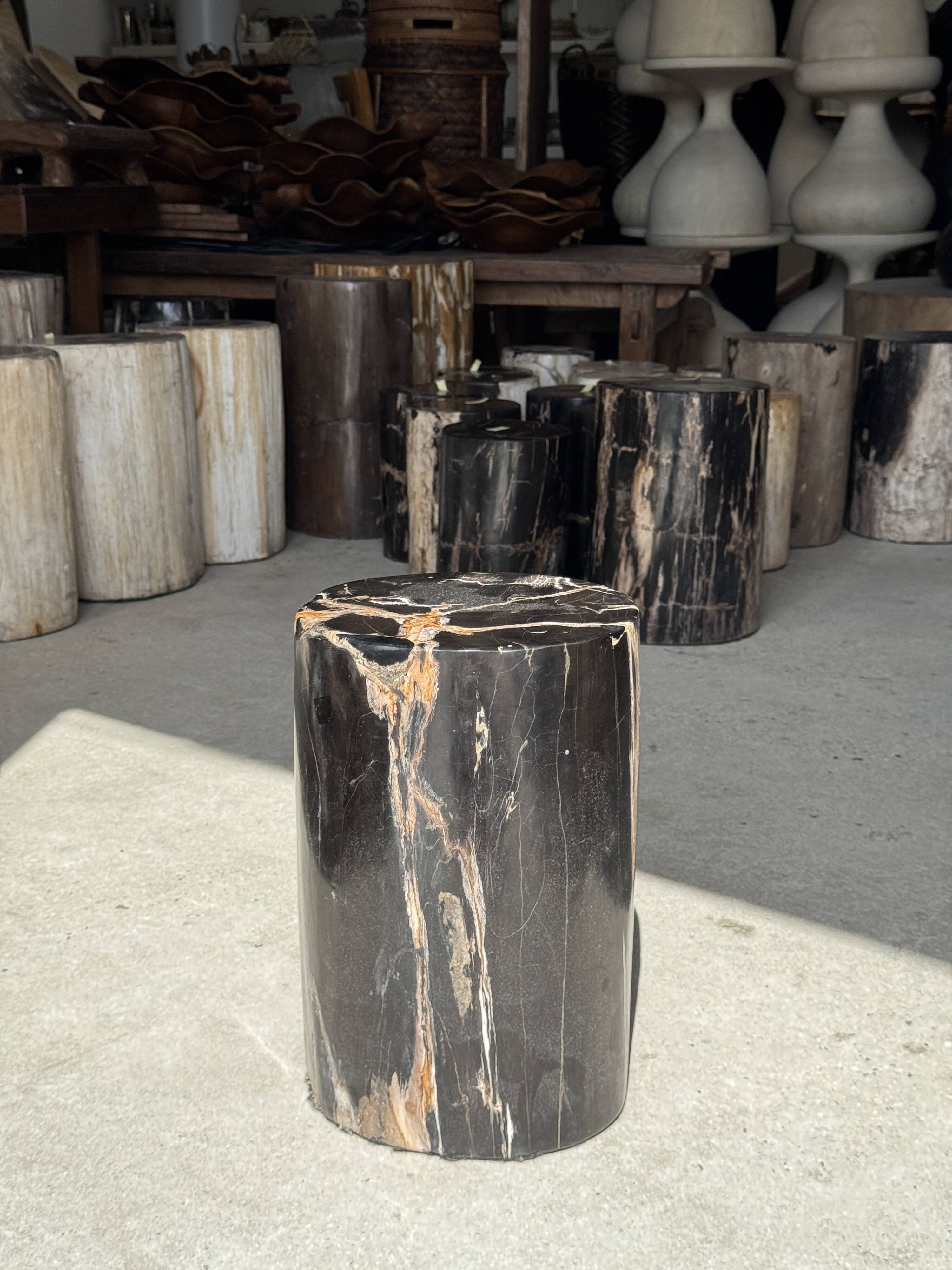 Black petrified wood side table with beige stripes, star pattern H35 D24.