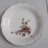 Ancient Digoin Plates