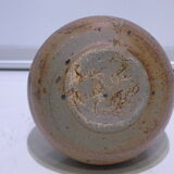 pitcher-gourd