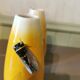 Pair of vintage Massier vases from Vallauris