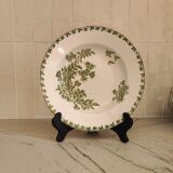 Assiettes creuses