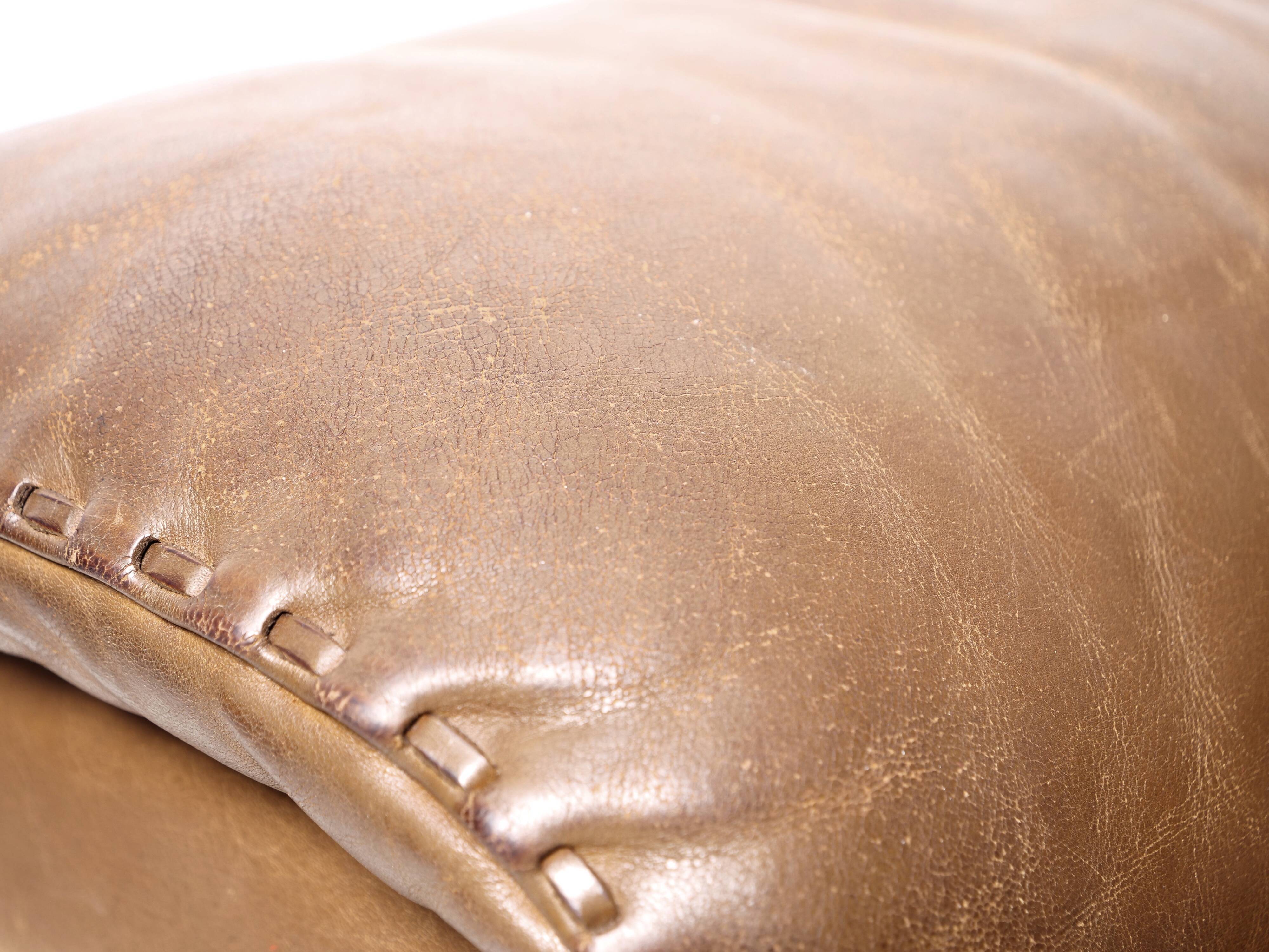 Armchair of sede DS 101