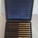 Box of 12 fruit knives with silver-plated blades