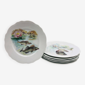 6 assiettes Porcelaine de Limoges, motif Poisson.