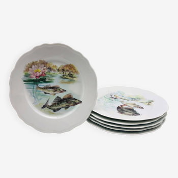6 Limoges porcelain plates, Fish pattern.