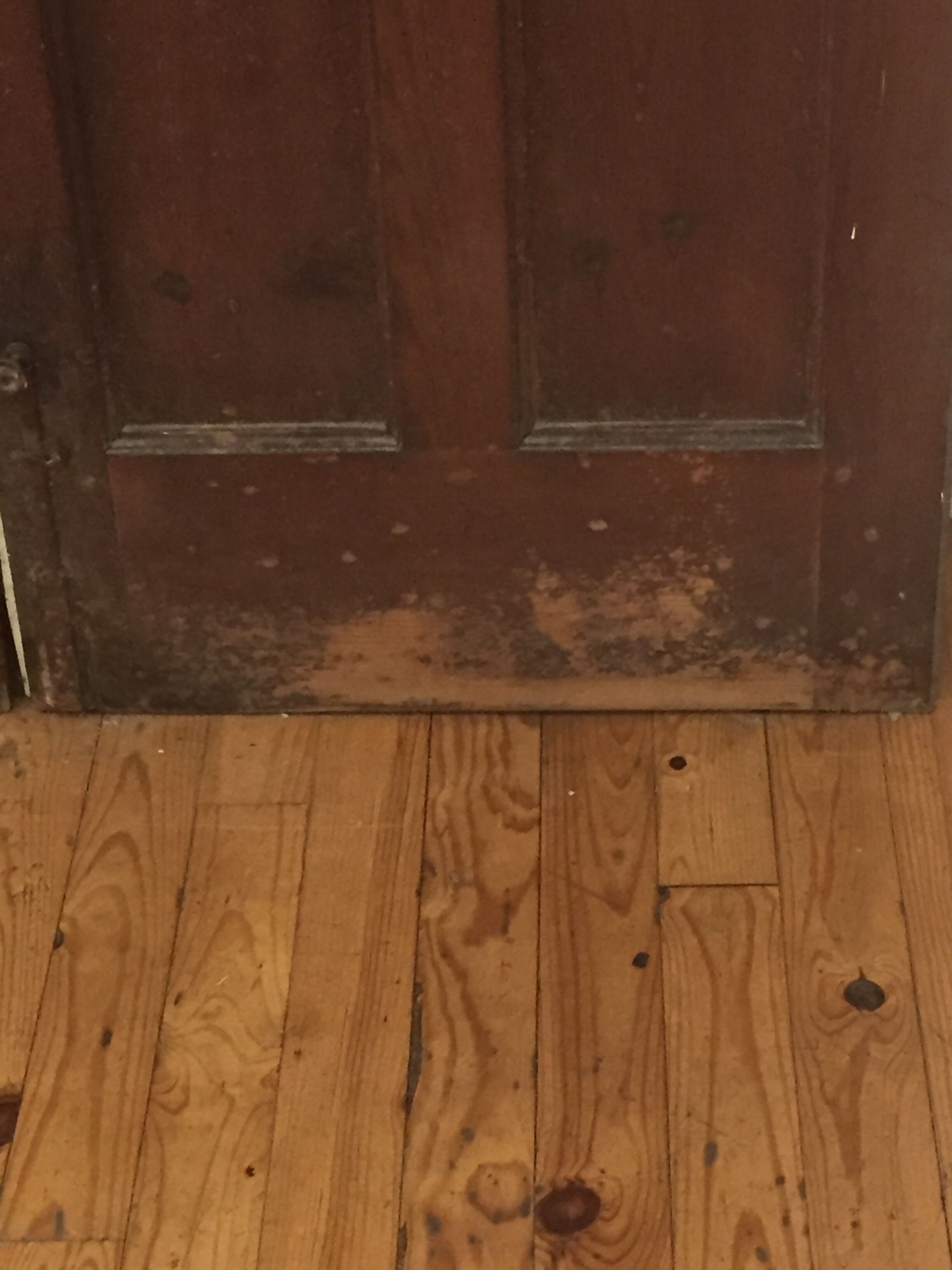 Pair of doors early twentieth