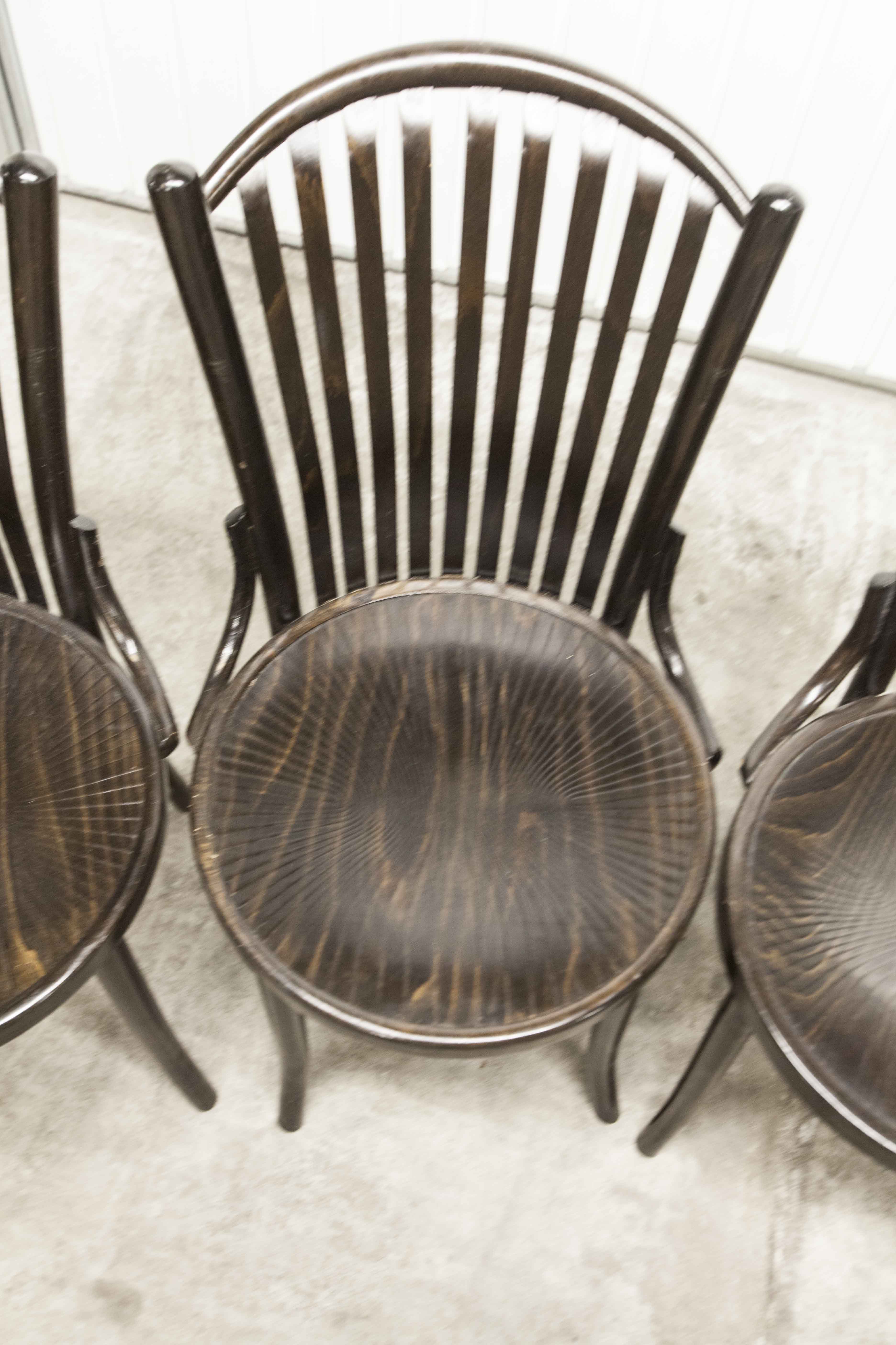 Set of 6 chairs Bistrot Baumann ref 22 curved wood