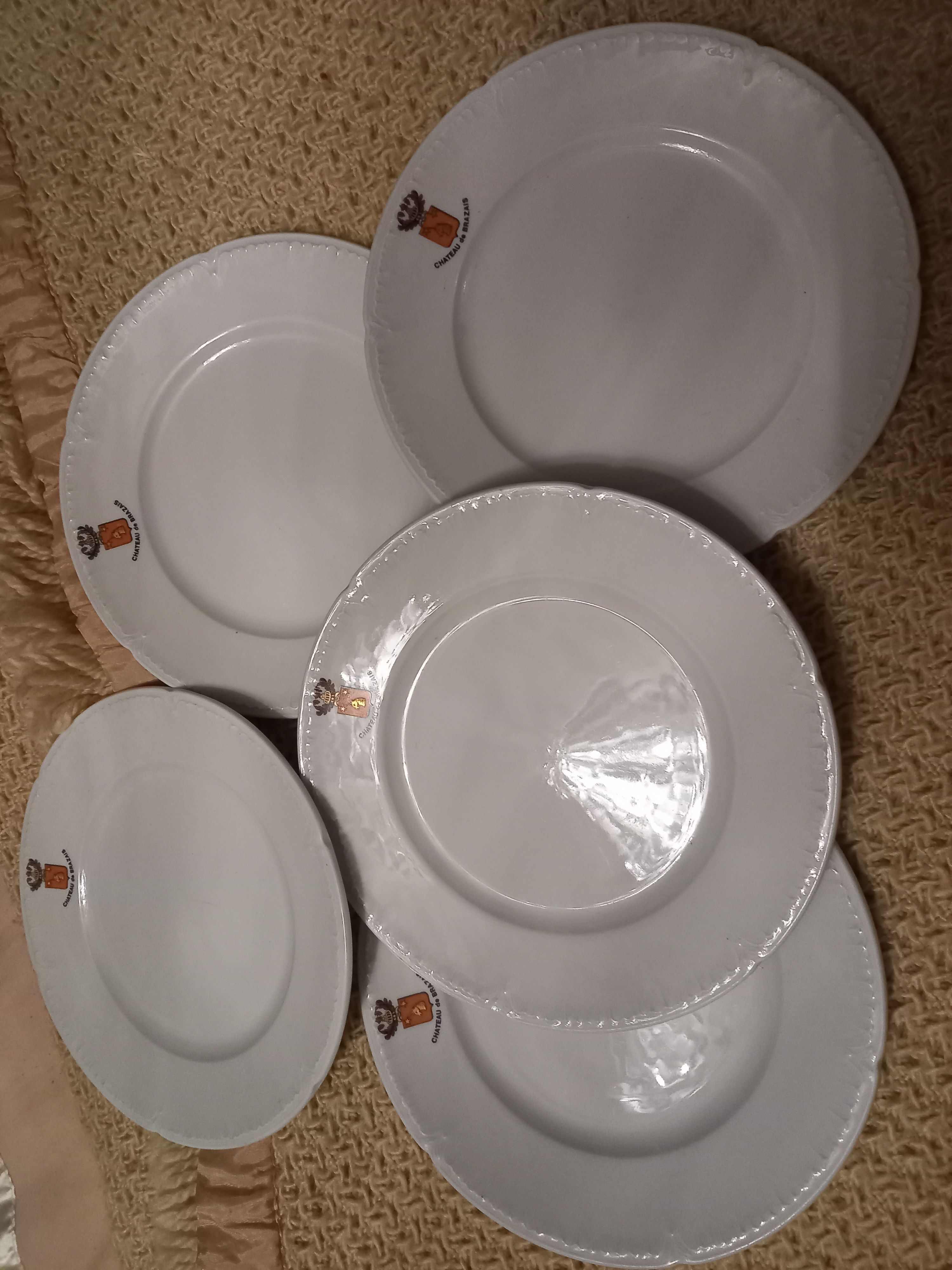 Lot 5 plates Château de Brazais porcelain of Limoges vintage