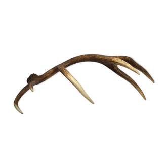 Deer trophy