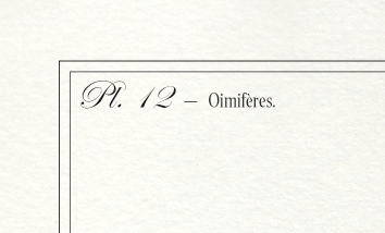 Set of 2 framed chimera lithography animal engraving