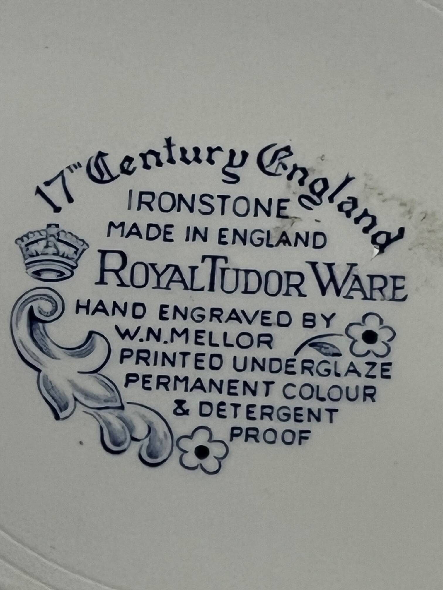 Paire d'assiettes Royal Tudor Ware.