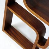 Restored Mid-Century Room Divider by Ludvik Volak for Drevopodnik Holesov, 1960s