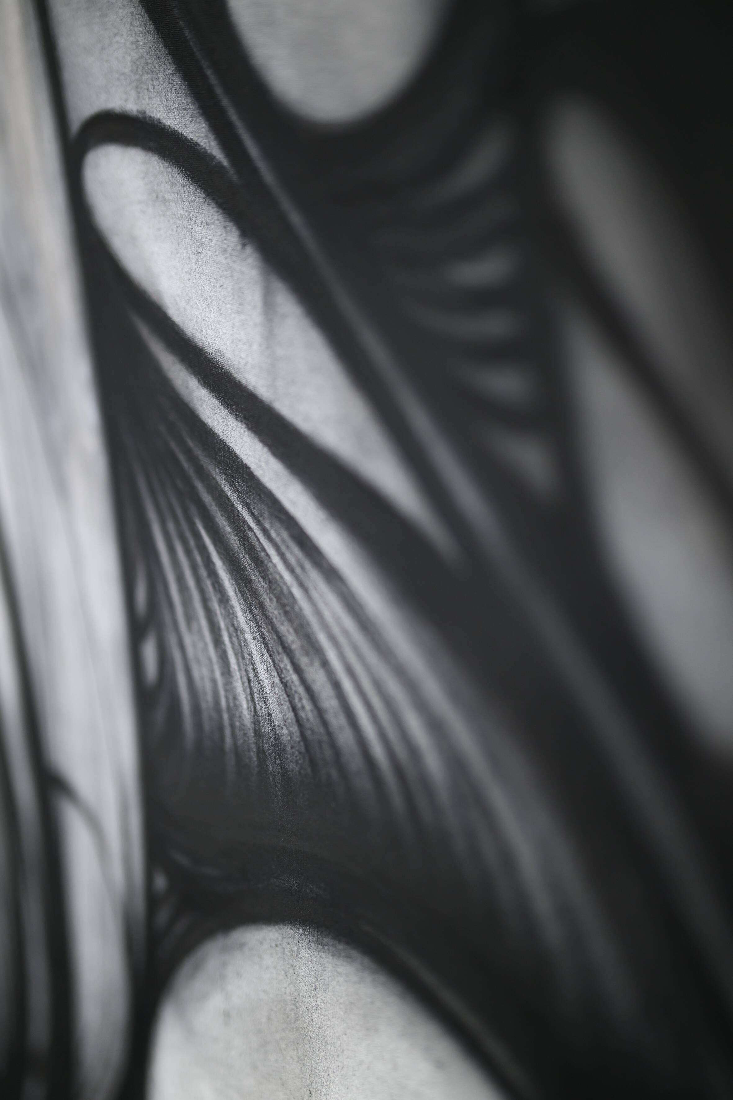 "Shape of femininity" Contemporary painting Harrison Prignet