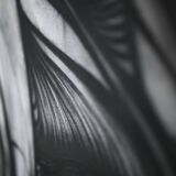 "Shape of femininity" Contemporary painting Harrison Prignet