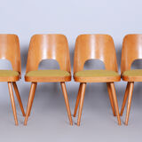 Ensemble de chaises en hêtre brun et jaune du milieu du siècle Oswald Haerdtl années 1950 Tchéquie
