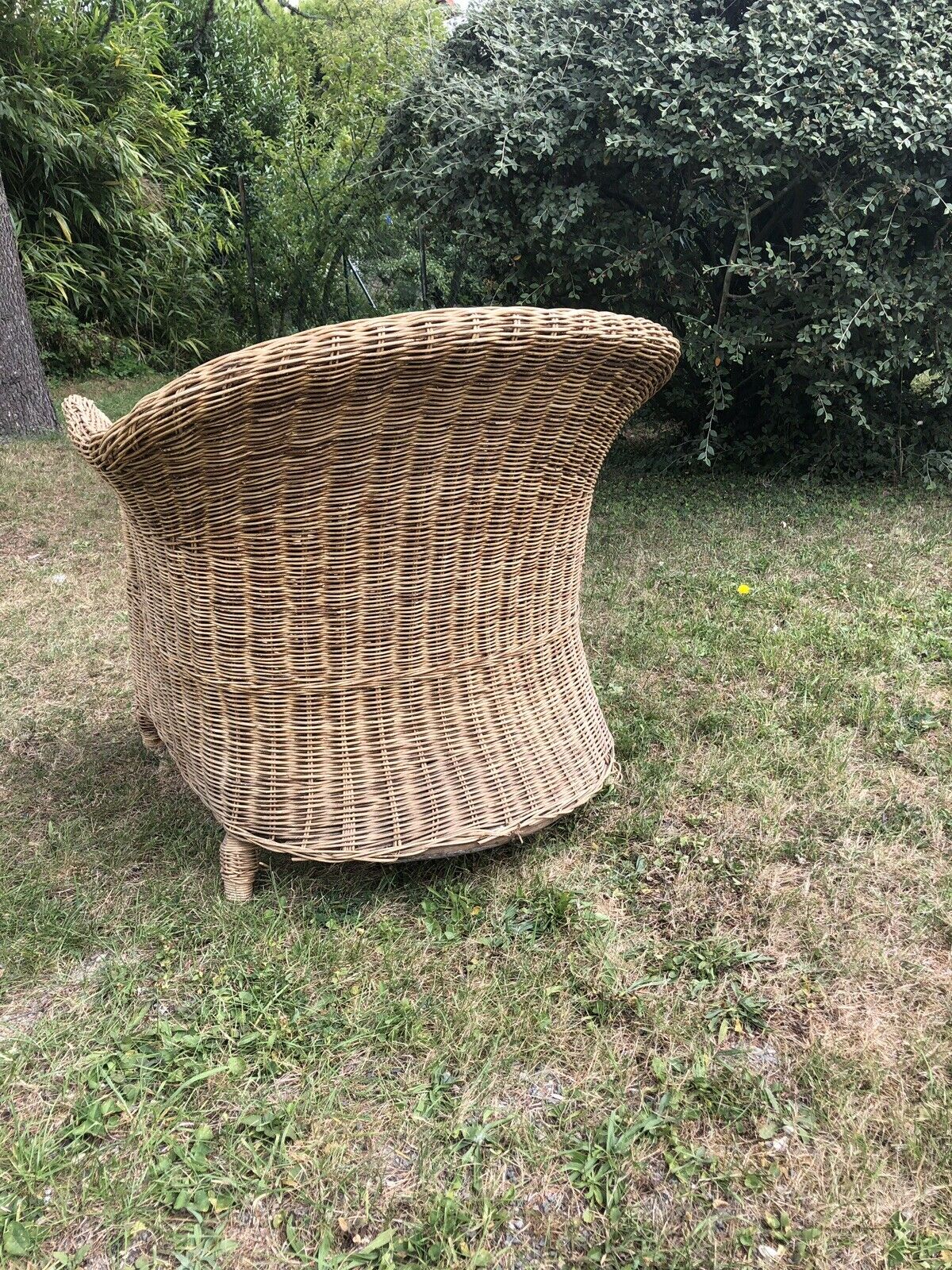 Rattan armchair