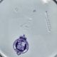 Plates x 4 English plates Brown Westhead Moore & Cie, Pomona decor, 1872. Rare.