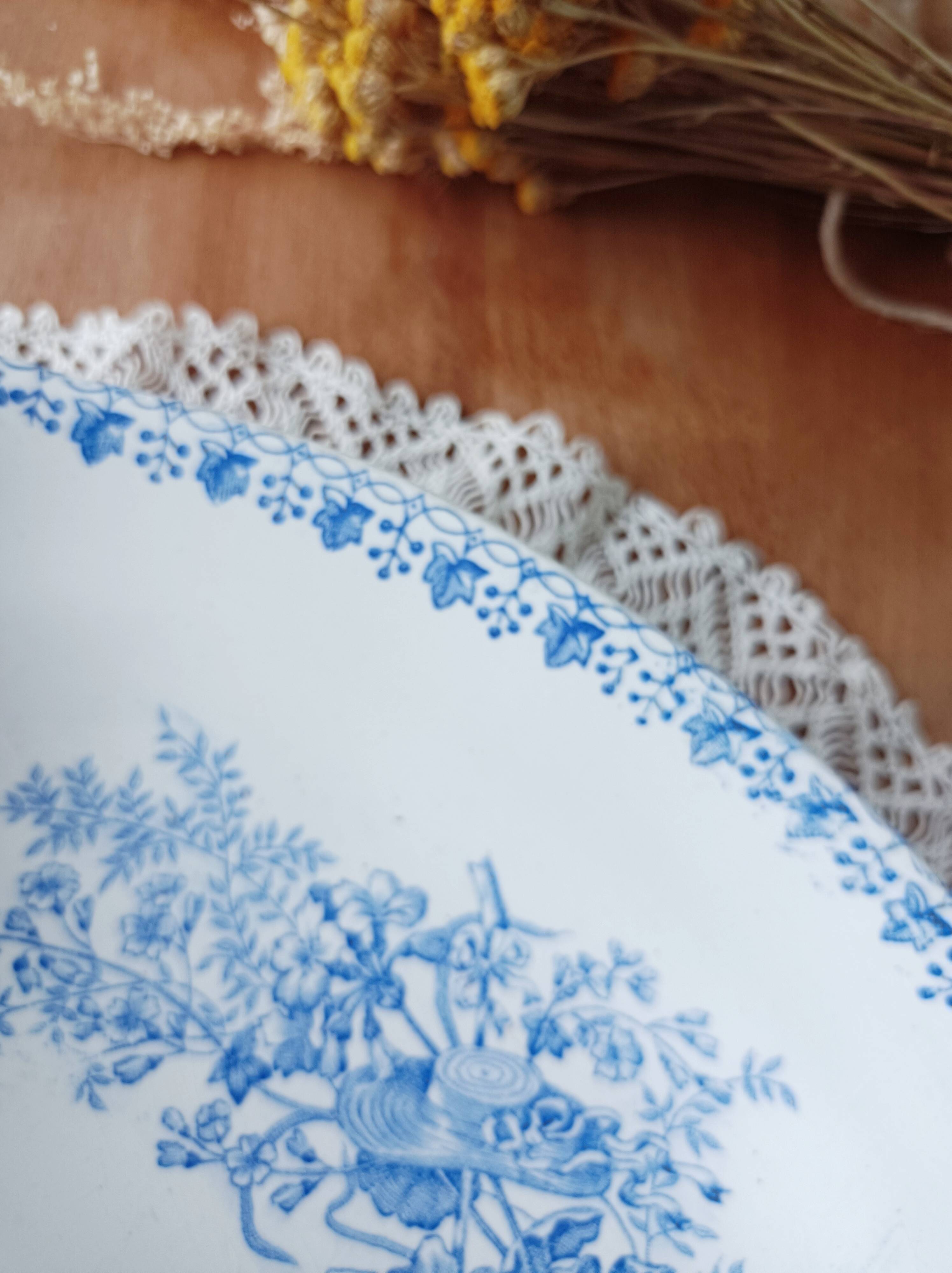 Iron earthenware dish