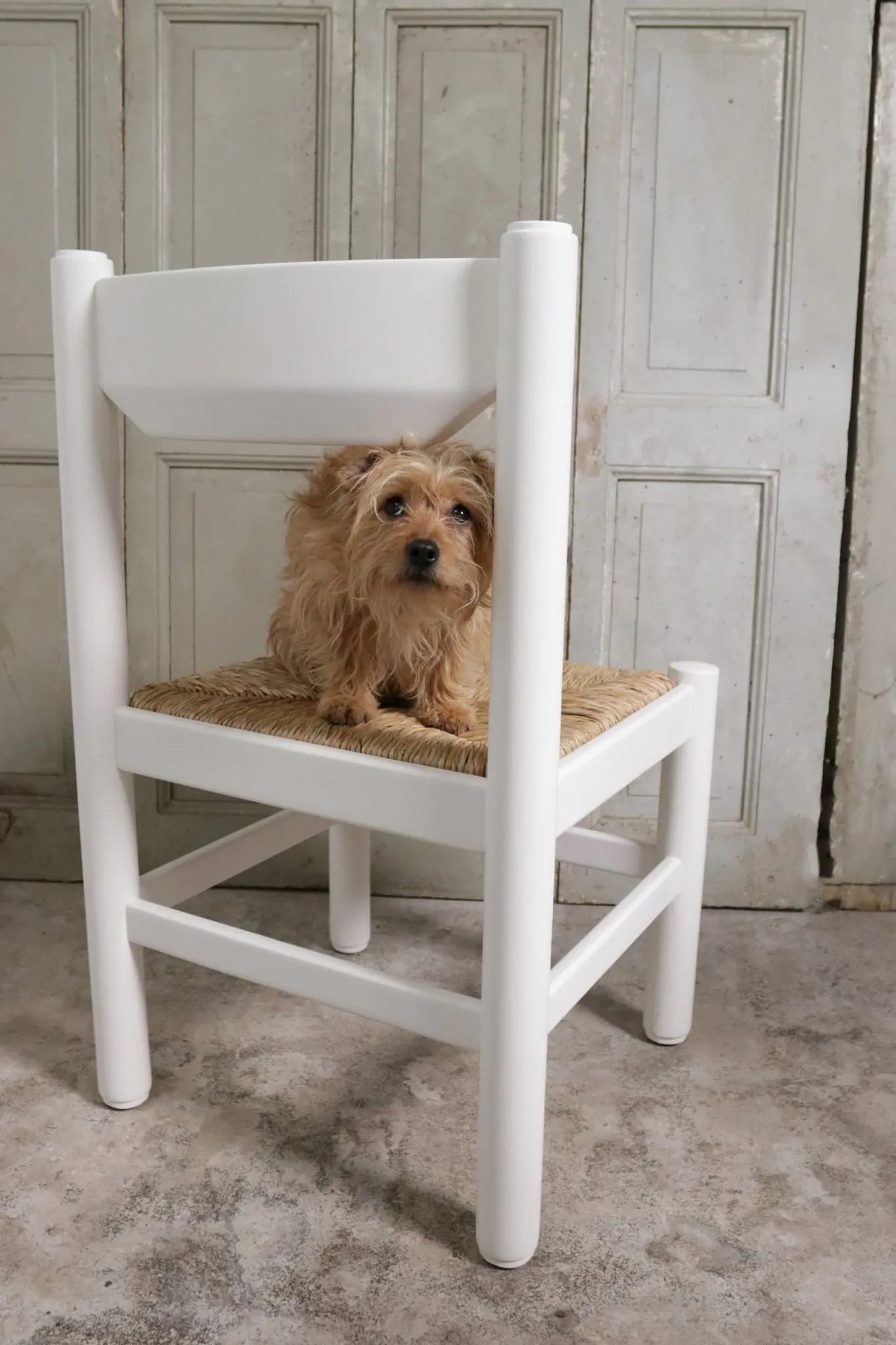 Set of 4 white rush dining chairs – Magistretti / Perriand style, 1970s