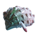 Saucière seashell in dabbling