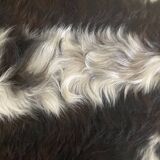 Authentic cowhide traditional tannery