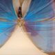 Morpho Amathonte