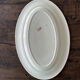 Iron Earth dish