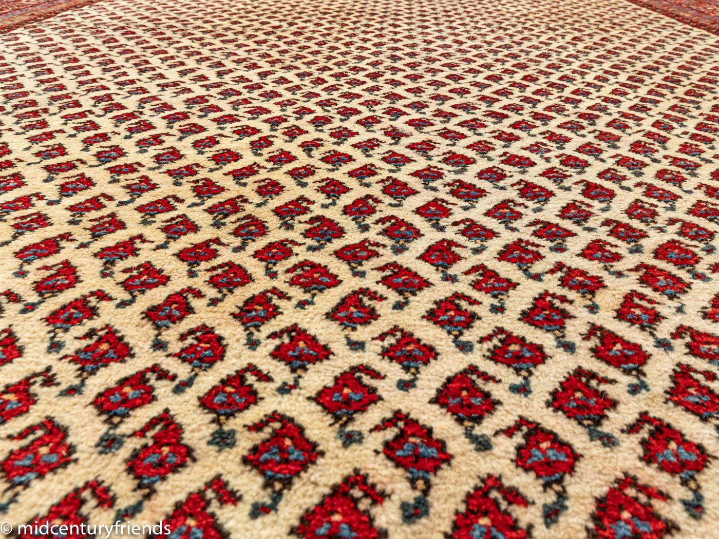 1960s Sarough carpet