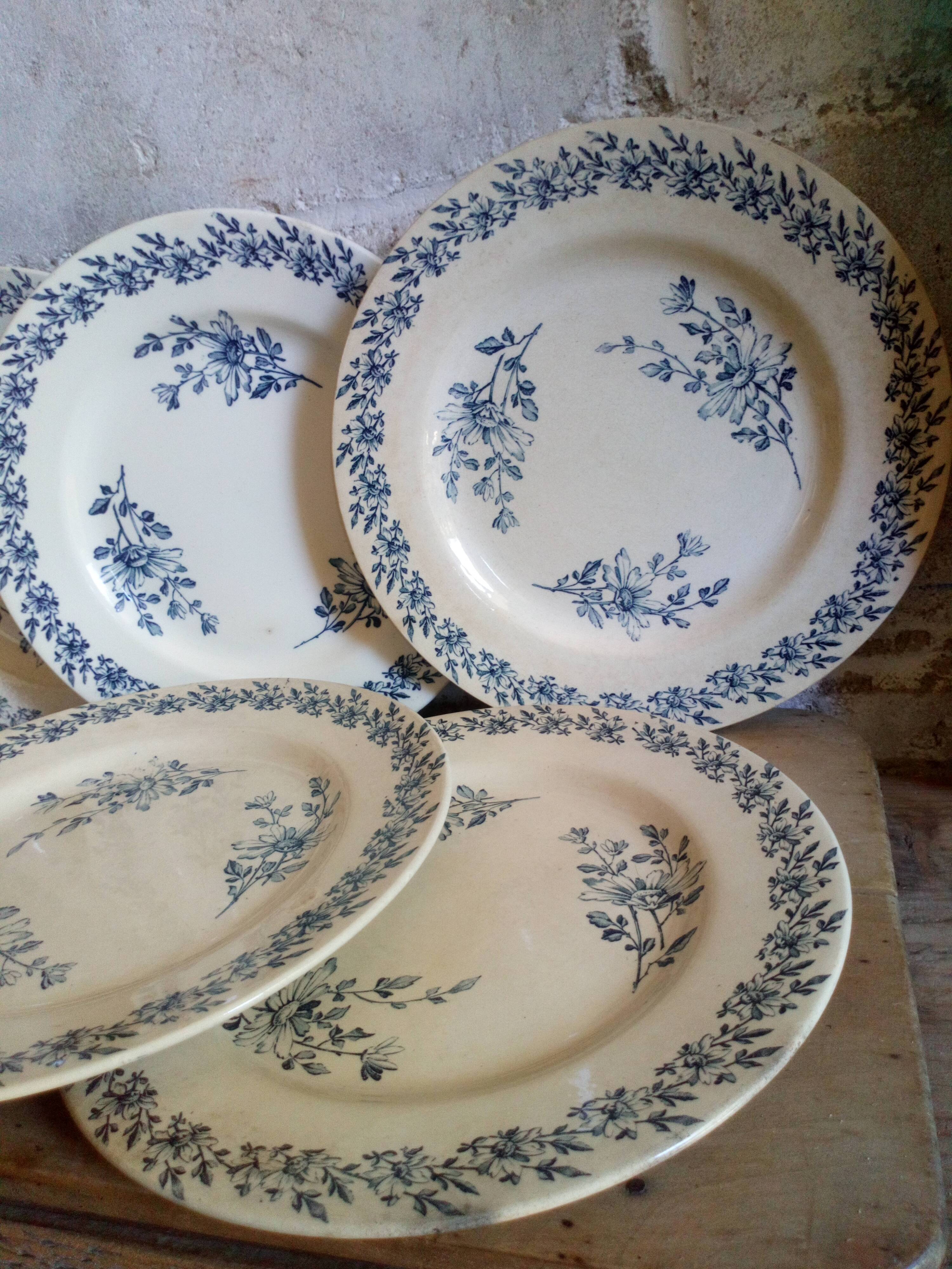 Six old plates made of lednéville iron soil from the "paquerette" sevice