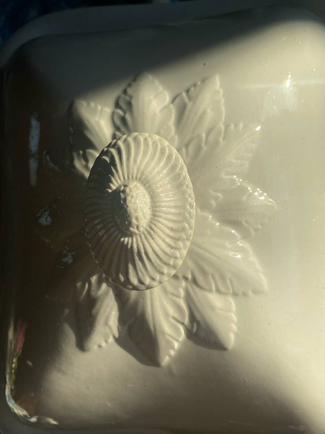 Large antique Villeroy and Boch porcelain dome dish