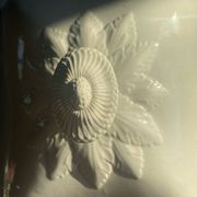 Large antique Villeroy and Boch porcelain dome dish