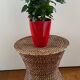 Rattan and cane side table