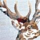 Canvas painting vintage deer 60s with decoration frame