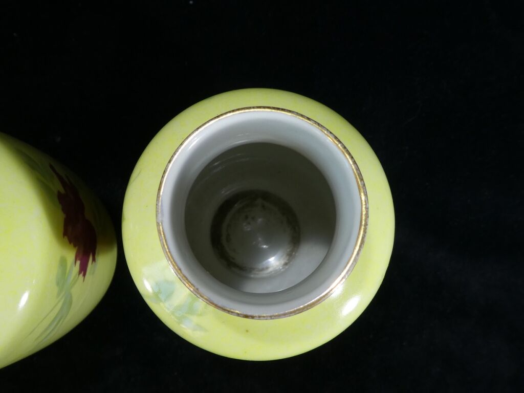 Pair of Limoges porcelain vases decorated with rose bushes